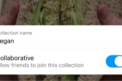 What Is and How to Share Instagram Collaborative Collections With Friends?