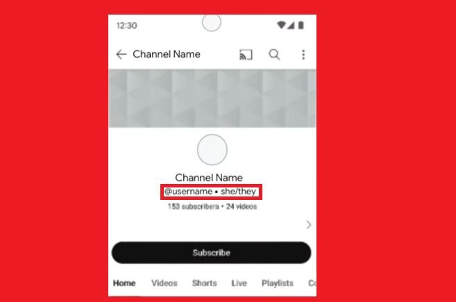 YouTube Adds New Audio Description Options, Preferred Pronouns for Creator Profiles